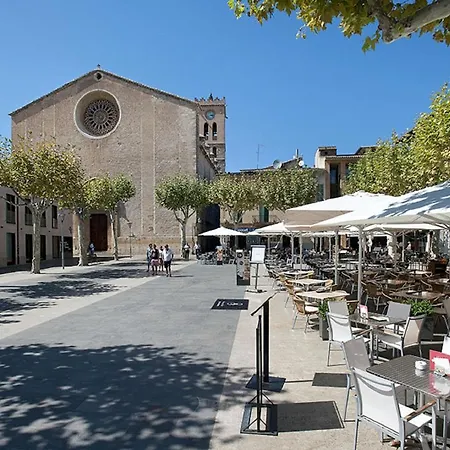 Owl Troy - Family And Friends