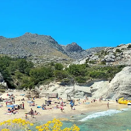 Willa Owl Troy - Family And Friends Pollensa