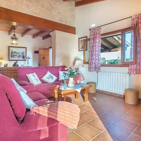 Owl Troy - Family And Friends Willa Pollensa