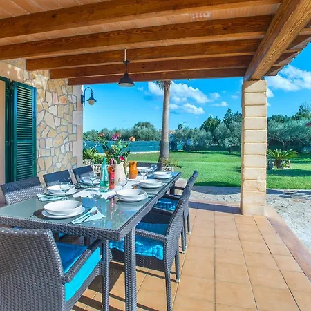 Owl Troy - Family And Friends Pollensa