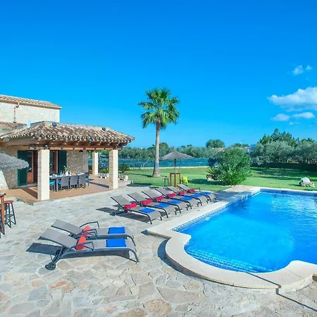 Owl Troy - Family And Friends Pollença