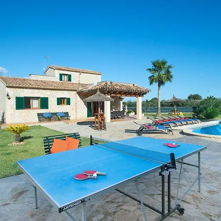 Owl Troy - Family And Friends Villa *