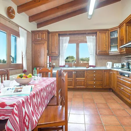 Owl Troy - Family And Friends * Pollença