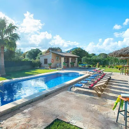 Owl Troy - Family And Friends * Pollença