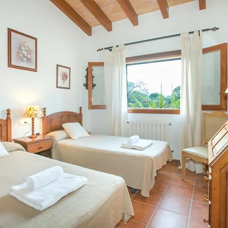 Owl Troy - Family And Friends Pollensa