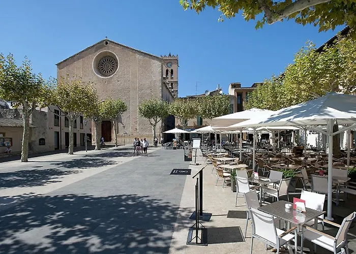 Owl Troy - Family And Friends