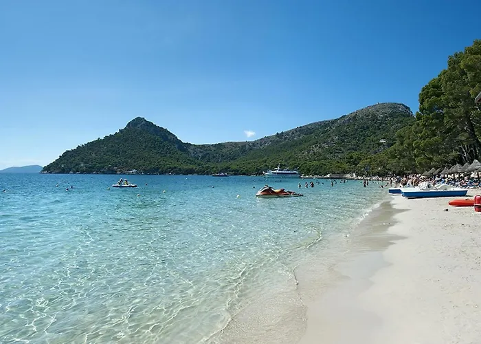 Owl Troy - Family And Friends Villa