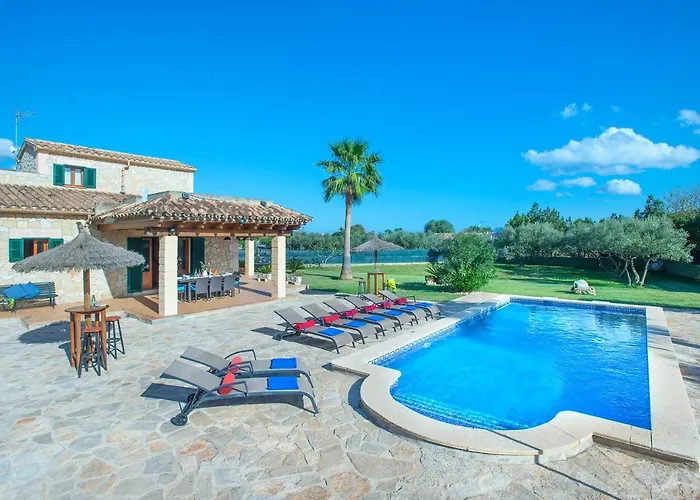 Owl Troy - Family And Friends Pollença