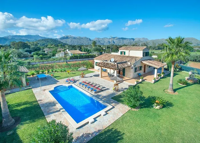 Owl Troy - Family And Friends *