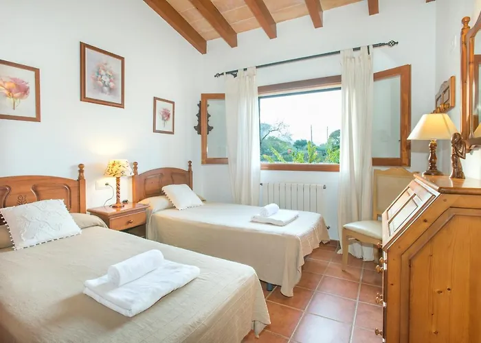 Owl Troy - Family And Friends Pollença