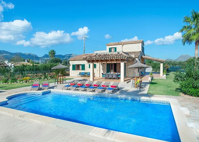 Owl Troy - Family And Friends *