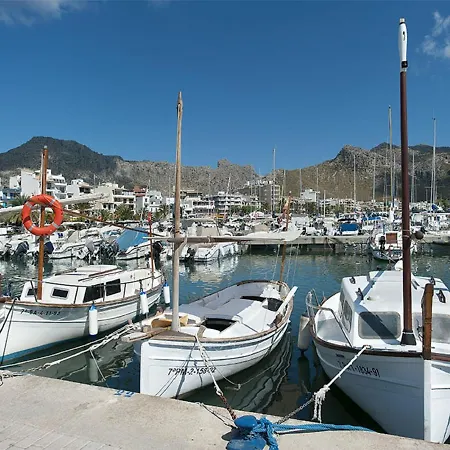 Owl Troy - Family And Friends * Pollenca