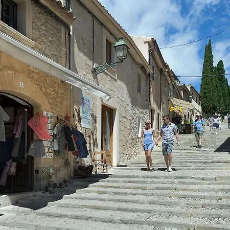 Owl Troy - Family And Friends Pollenca