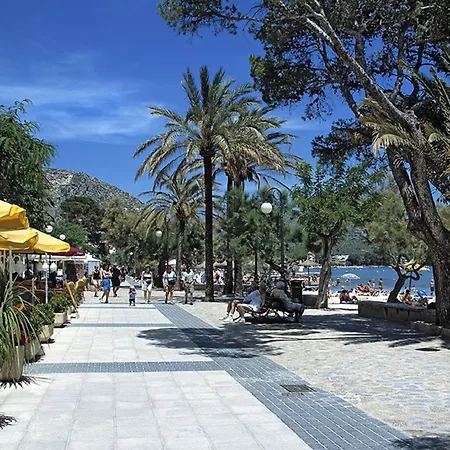 别墅 Owl Troy - Family And Friends