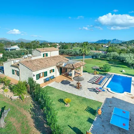 Owl Troy - Family And Friends Villa