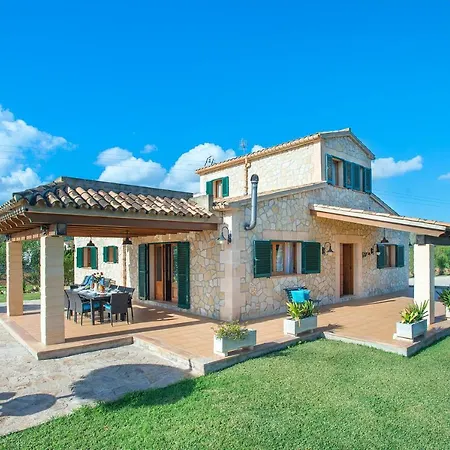 Owl Troy - Family And Friends * Pollenca