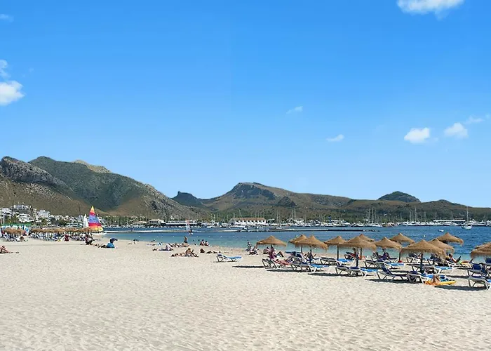 Owl Troy - Family And Friends Willa *