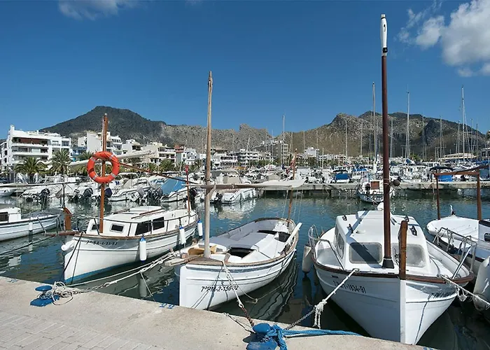 Owl Troy - Family And Friends * Pollenca