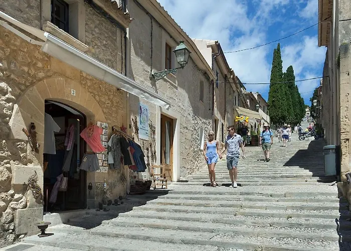 Owl Troy - Family And Friends Pollenca