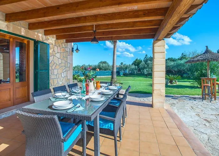 Owl Troy - Family And Friends Pollenca