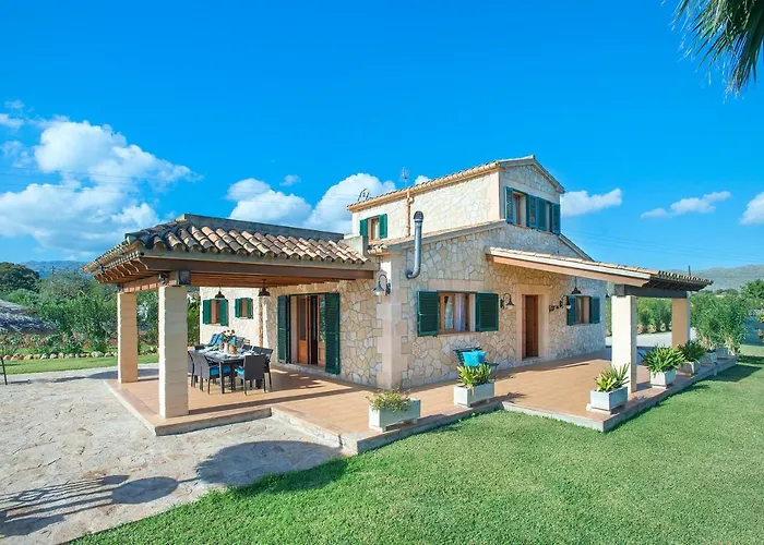 Owl Troy - Family And Friends * Pollenca