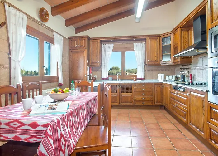 Owl Troy - Family And Friends * Pollensa