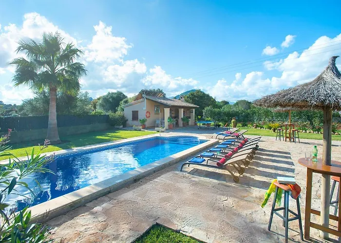 Owl Troy - Family And Friends * Pollensa