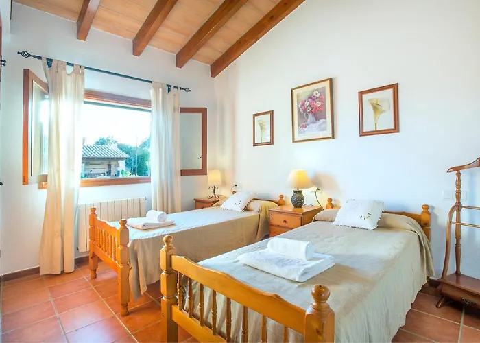 Owl Troy - Family And Friends * Pollenca