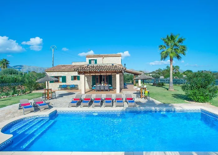 Owl Troy - Family And Friends Willa *