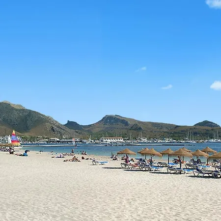 Owl Troy - Family And Friends فيلة *