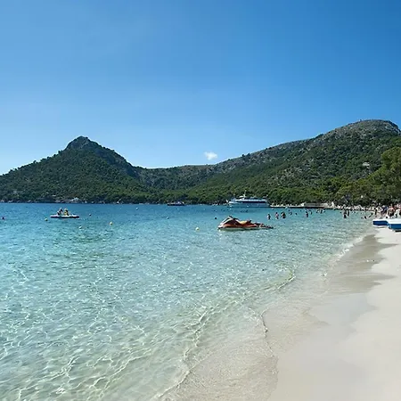 Owl Troy - Family And Friends فيلة