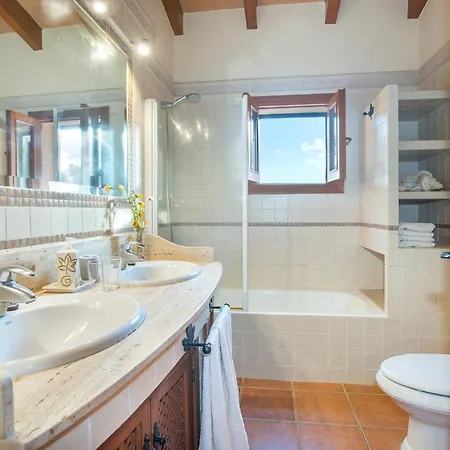 Owl Troy - Family And Friends