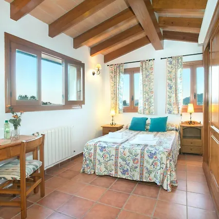 فيلة Owl Troy - Family And Friends