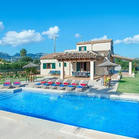 Owl Troy - Family And Friends *